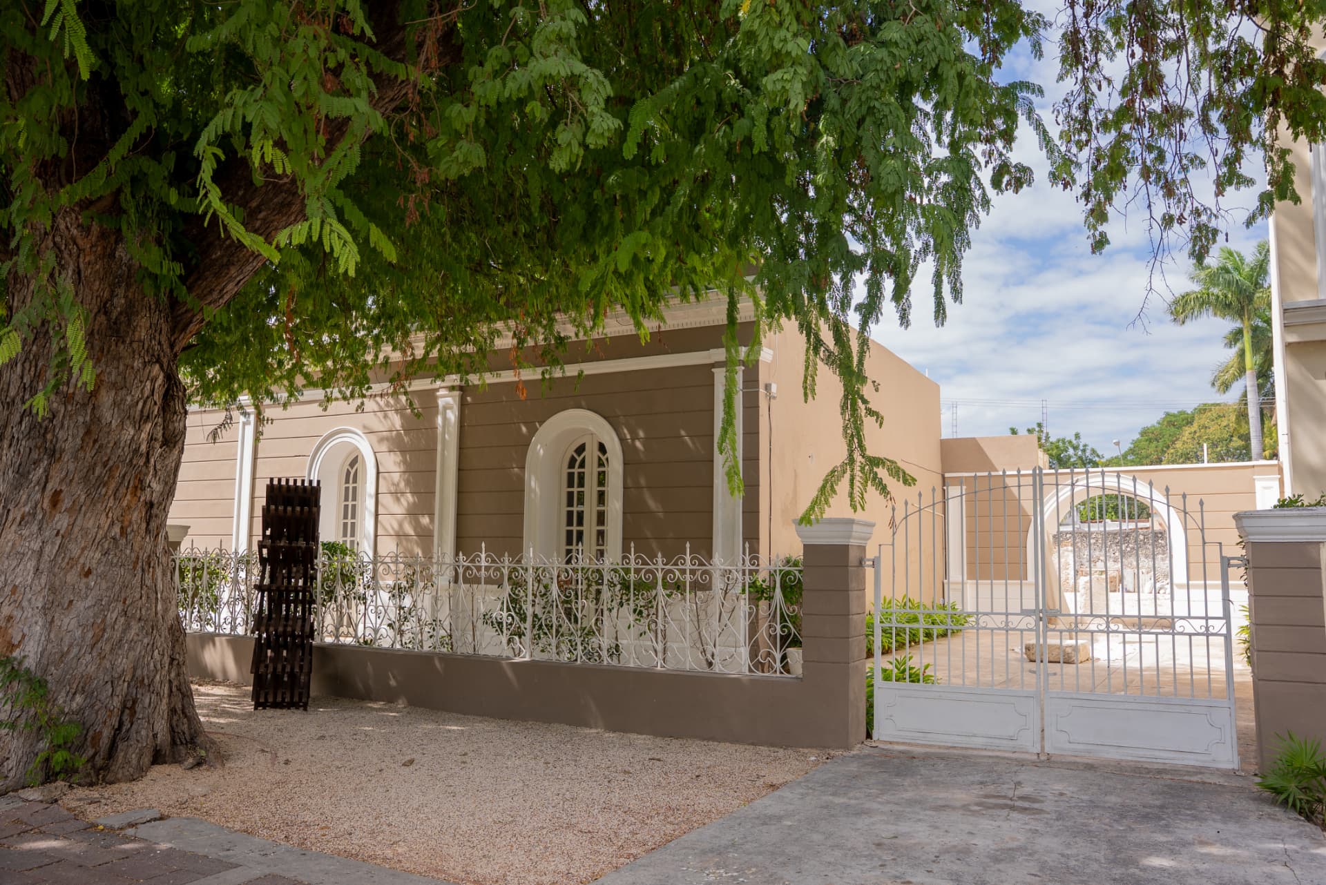 Entrada de El Yerberito bajo la sombra de un árbol